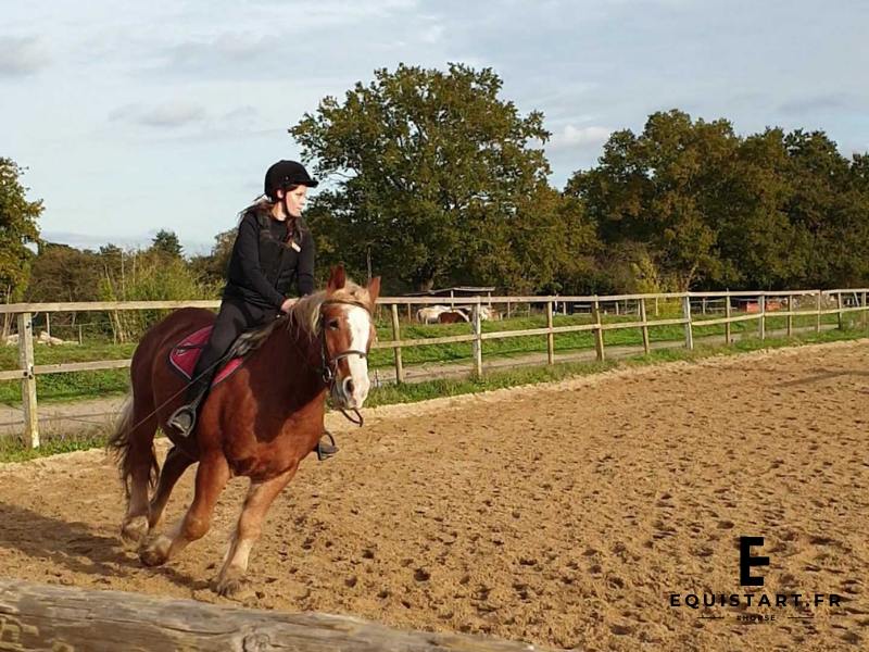 mesurer ses performances à cheval
